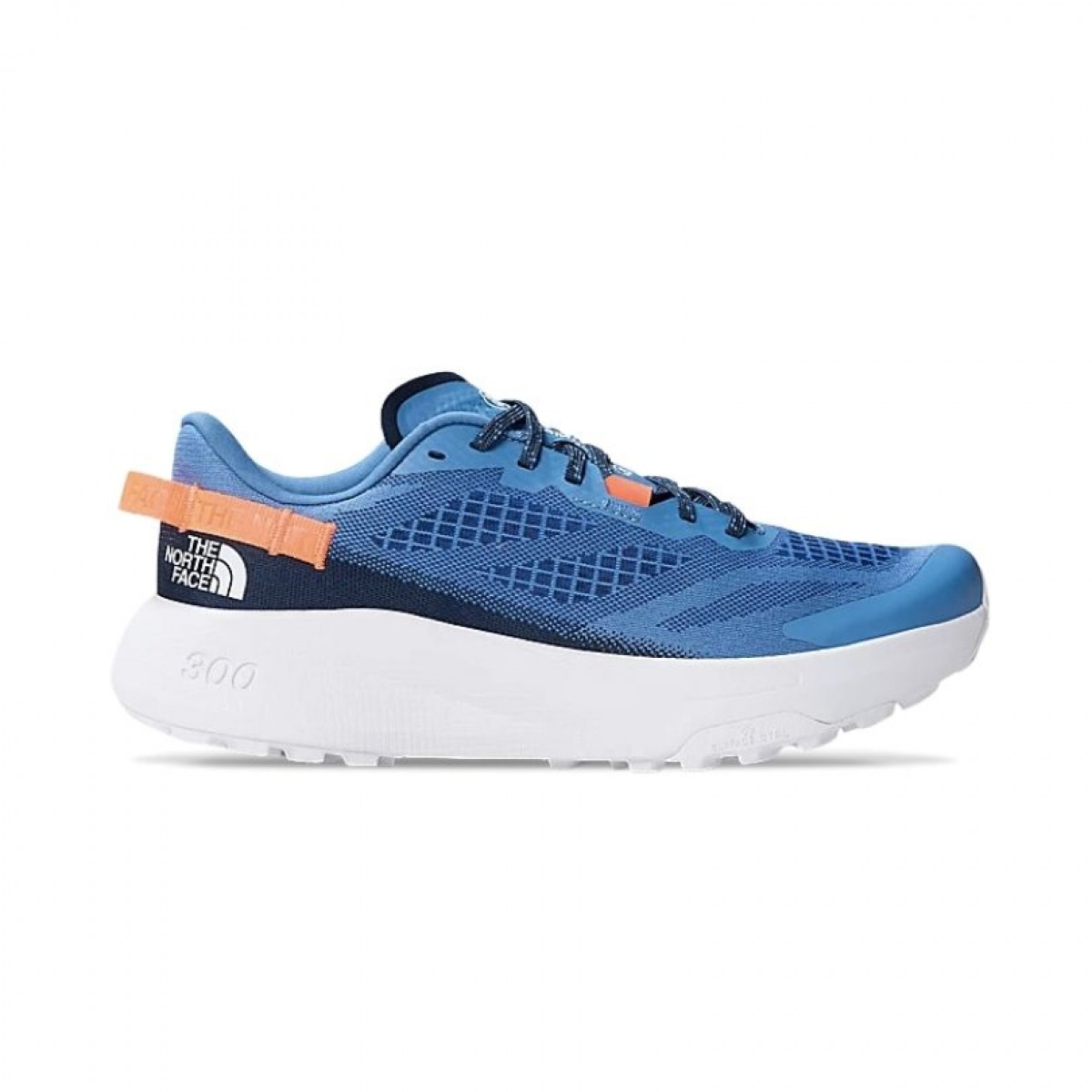 The North Face Altamesa 300
