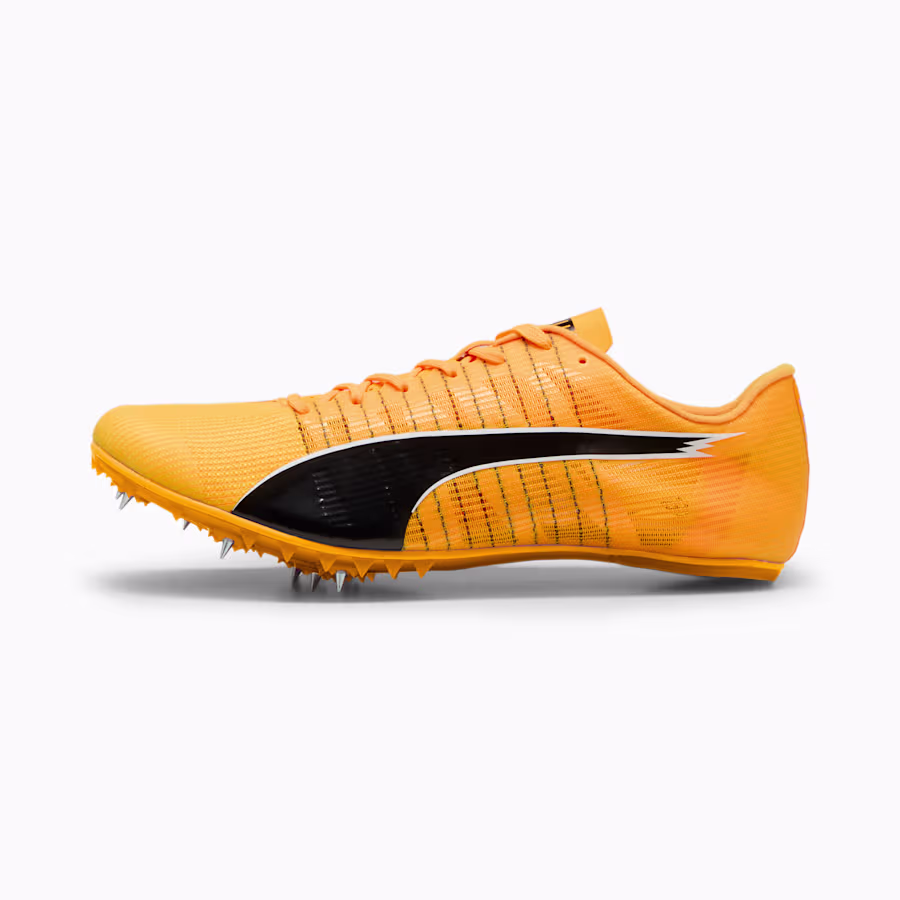 PUMA evoSpeed Future 6