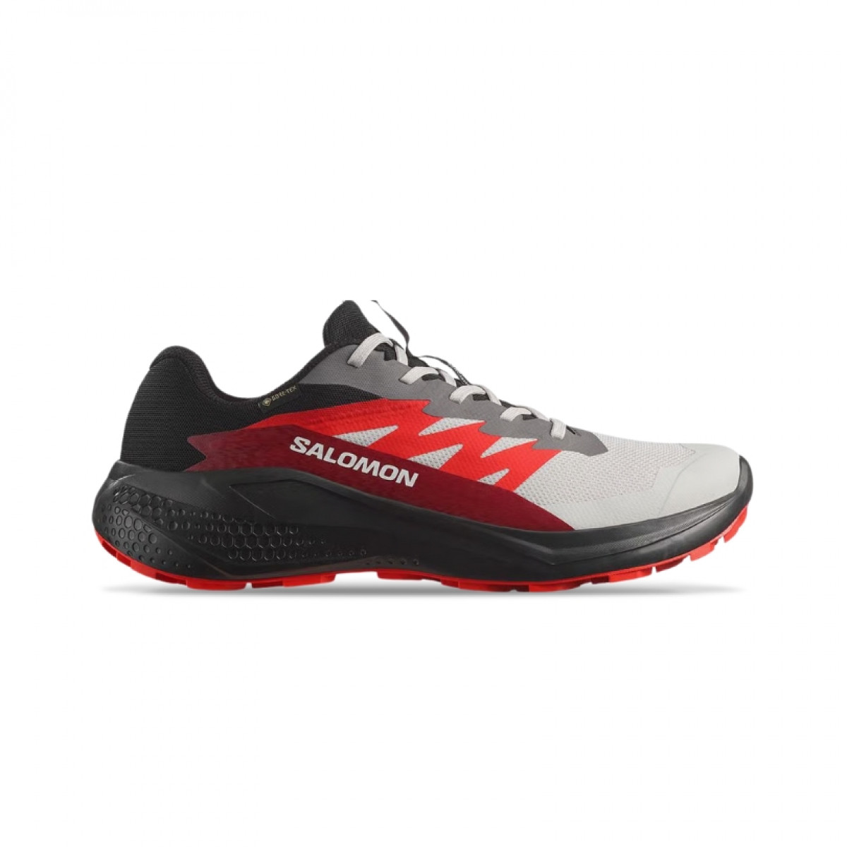 Salomon Alphaglide Gore-Tex