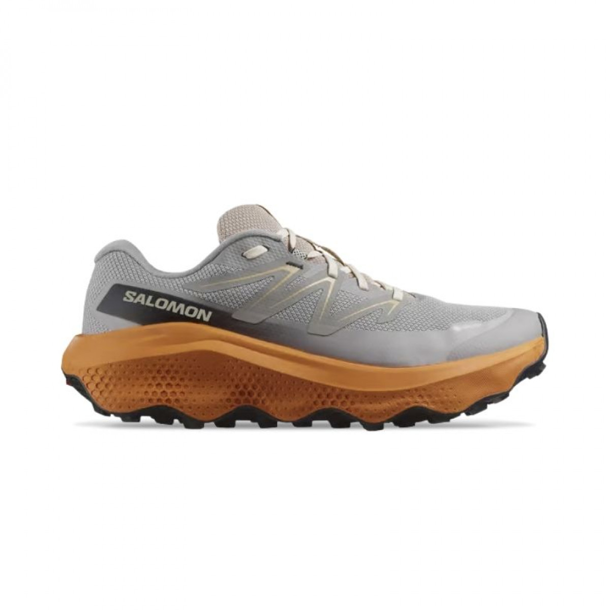 Salomon Ultra Flow 2 Gore-Tex