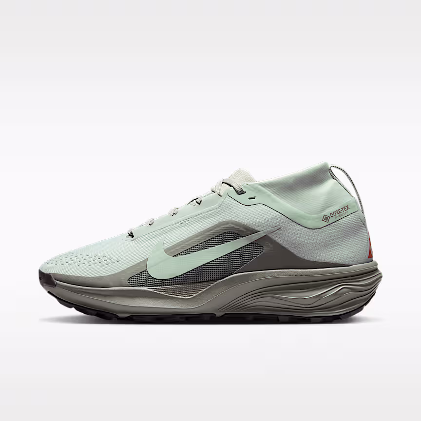 Nike ACG Pegasus Trail GORE-TEX