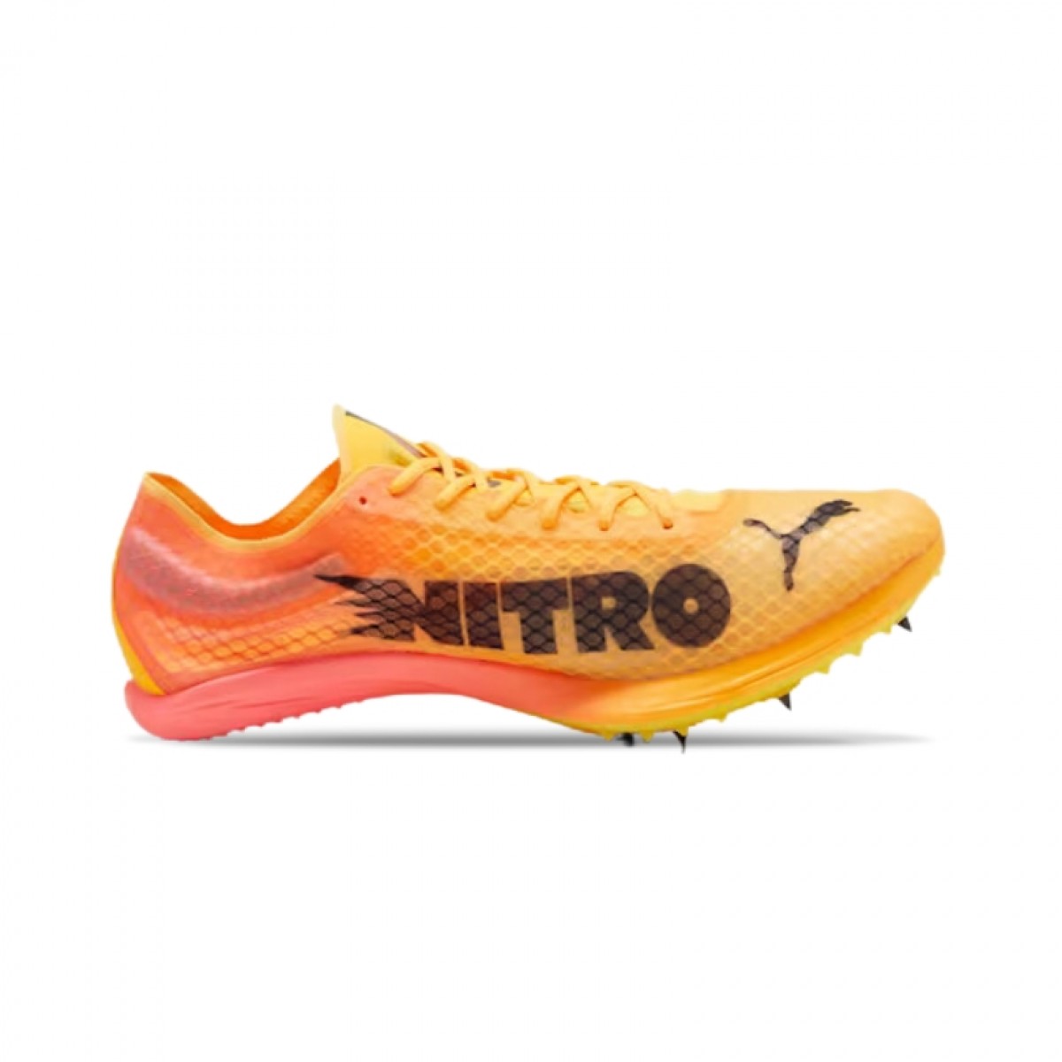 PUMA evoSPEED Distance NITRO Elite+ 4