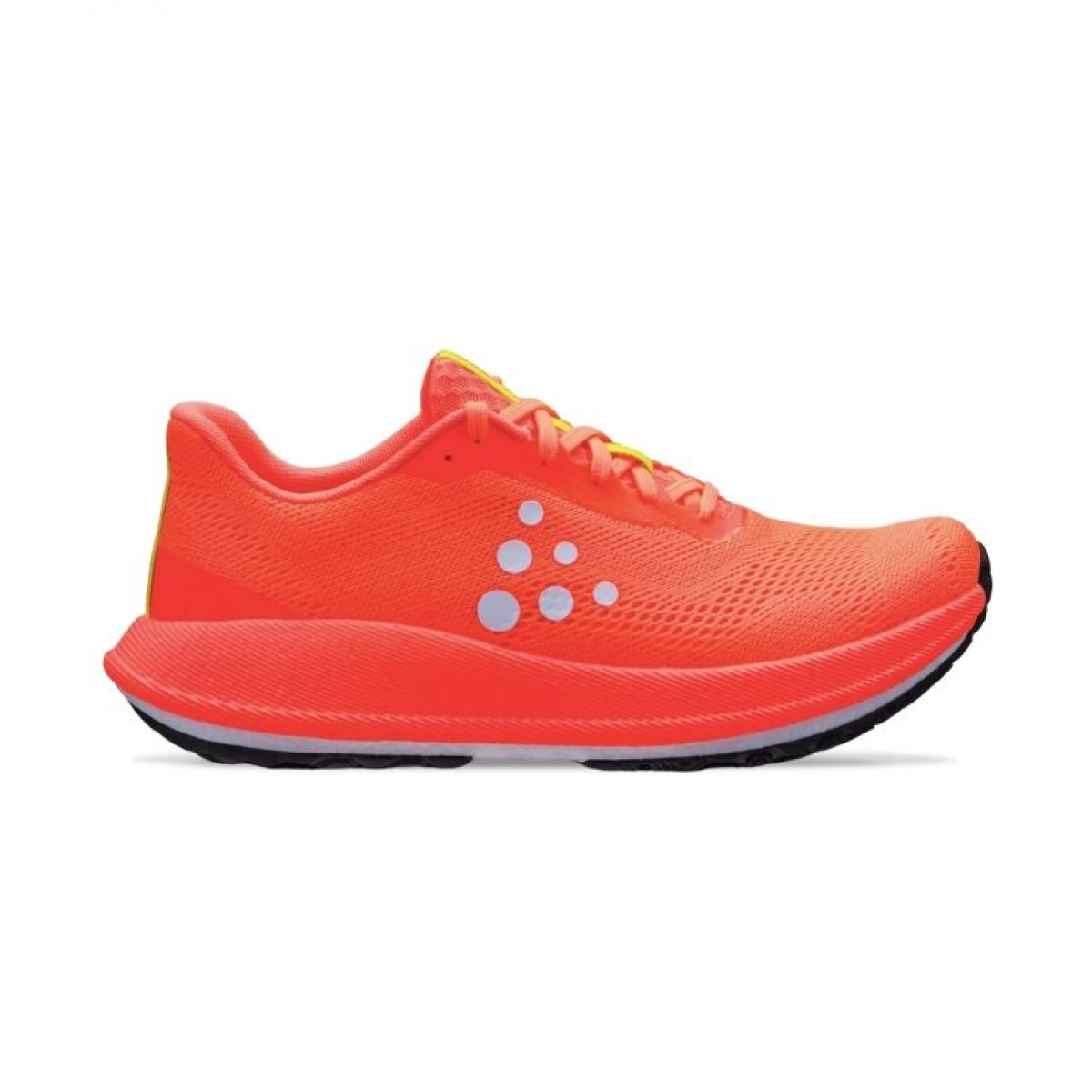 Craft Pacer 2