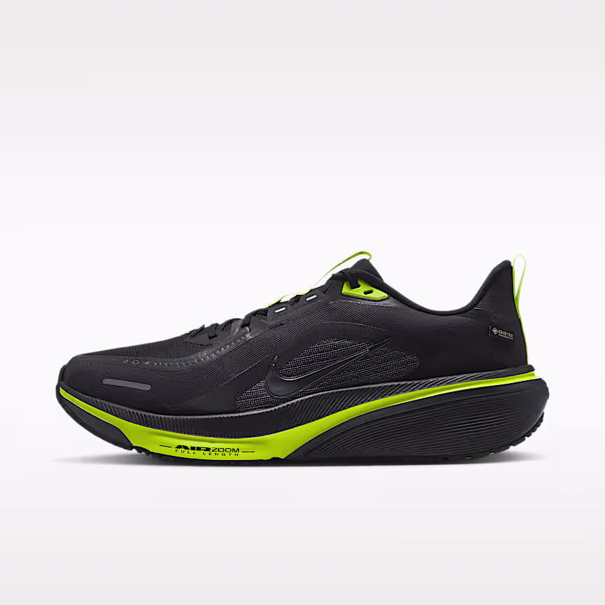 Nike Pegasus 42 GORE-TEX