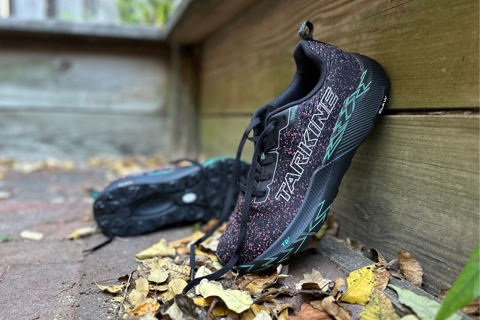 Tarkine Trail Devil 2