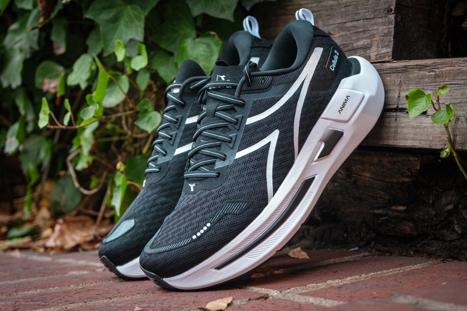 Diadora Cellula 2