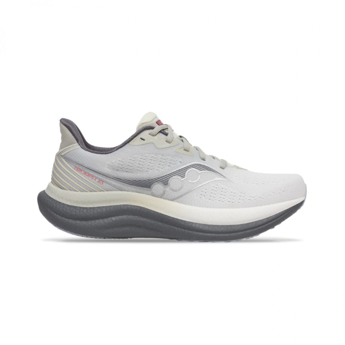 Saucony Triumph 23